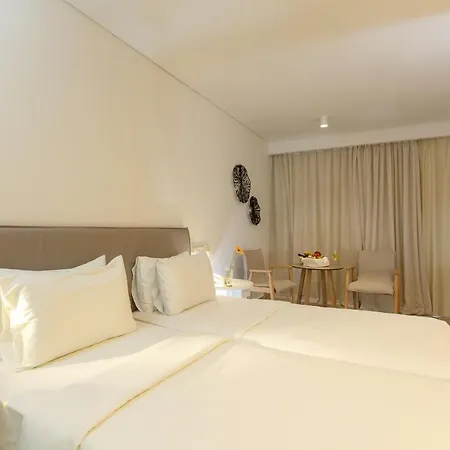 Anissa Hotel Hersonissos (Crete)