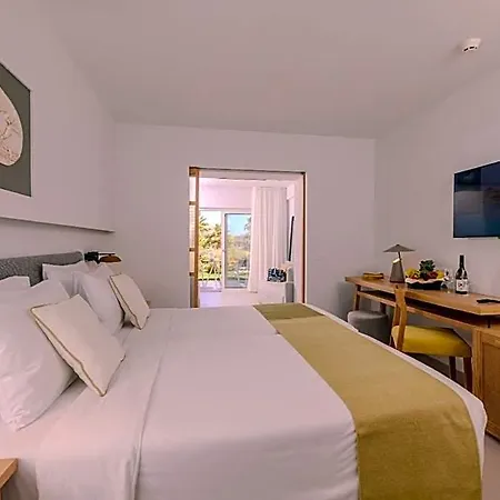 Anissa 4* Hersonissos (Crete)