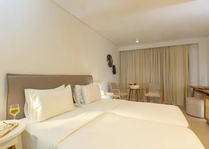 Anissa Hotel Hersonissos (Crete)